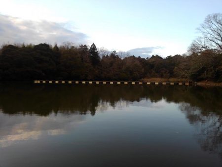 大安トラウトレイク 釣果